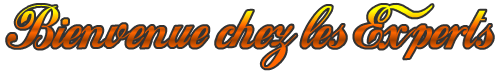 Bienvenue chez les Experts